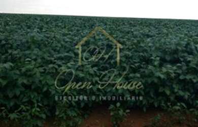 Imagem 7: Vendo ótima fazenda entre Nova Mutum e Campo Novo do Parecis