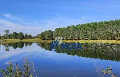 Imagem: A chácara possui 100m² de Área e está localizado em Ipê