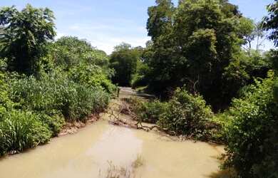 Imagem: A fazenda está localizado em Buritis, MG à venda por R$570.000