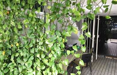 Imagem: O depósito possui 141m² de Área e está localizado em Centro