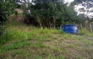 Imagem 5: VENDO CASA EM AREAL DEPOIS DA PREFEITURA -PAPELADA TODA CORRETA