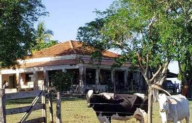 Imagem 2: FAZENDA EM CAMAPUA 15 MIL O HA