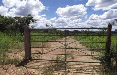 Imagem: A chácara está localizado em Jaboticatubas, MG à venda por