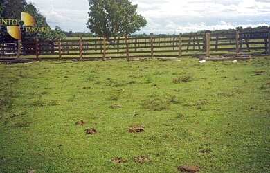 Imagem 6: Fazenda á 14km de Rosário à venda, 3200000 m² por R$ 5.500.000 - Zona...