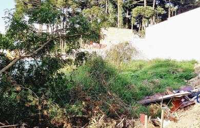 Imagem 10: Terreno à venda, 377 m² por R$ 160.000,00 - Jardim São Pedro - Quatro...