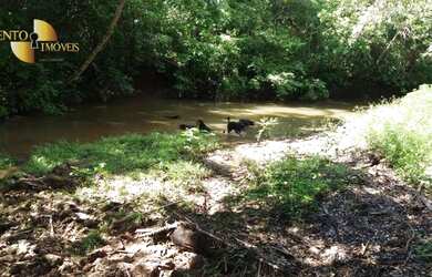 Imagem 13: Fazenda à venda, 3700000 m² por R$ 11.100.000,00 - Zona Rural - Acorizal/MT