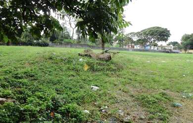 Imagem: O terreno possui 4093m² de Área e está localizado em Campo