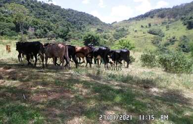 Imagem 16: 2041 Fazenda De 110 Ha Em Verdadeiro Paraíso - Linda Sede, Vista Espetacular...