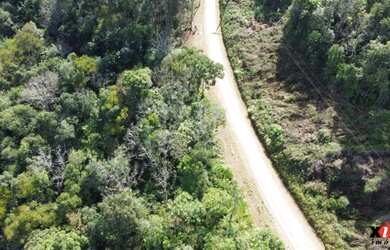 Imagem: A fazenda possui 30.000m² de Área e está localizado em Nova