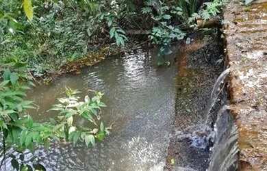 Imagem 7: Chácara em Abadia de Goiás