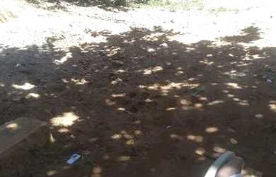 Imagem 3: Venda. 172m² de Área