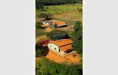 Imagem 8: Fazenda a venda com 86 hectares em Unaí, Minas Gerais