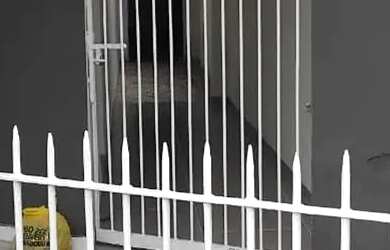 Imagem 6: Imóvel para aluguel possui 83 metros quadrados com 3 quartos em Campo Grande - Rio de Jane