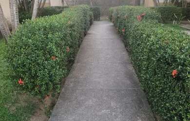 Imagem 5: Vendo apartamento no Condomínio Vivendas em Parnamirim-RN