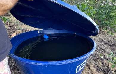 Imagem 9: MIMOSO COM 7 MIL PÉS DE CAFÉ COM CASA ENERGIA E MUITA ÁGUA