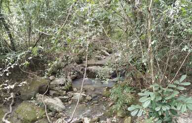 Imagem 11: Chácara em Aragoiania. 