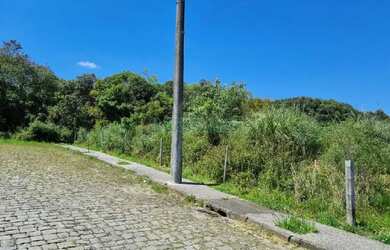 Imagem 4: Terreno Desvio Rizzo Caxias do Sul