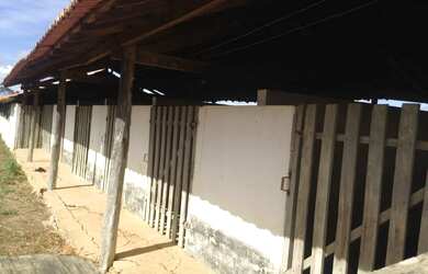 Imagem 14: Oportunidade Fazenda pecuária de 1.186 hectares com aptidão para Usina...