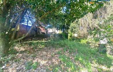 Imagem 9: Terreno à venda, 847 m² por R$ 225.000,00 - Mata Paca - Niterói/RJ