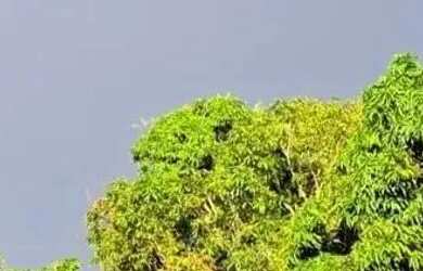 Imagem: A fazenda possui 85000m² de Área e está localizado em Vale