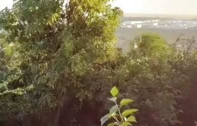 Imagem 13: Casa mais salão de festas