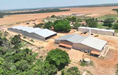 Imagem 11: R$360 Milhões Fazenda de 6.372 ha em Miranorte-TO