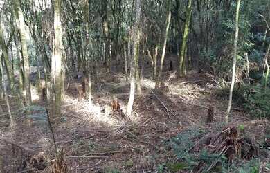 Imagem: O terreno possui 601m² de Área e está localizado em Canela