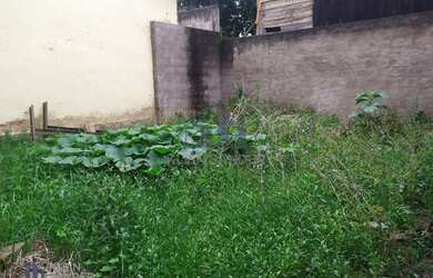 Imagem 1: Terreno à venda, 110 m² por R$ 350.000,00 - Olaria - Nova Friburgo/RJ