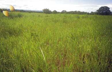 Imagem 7: Fazenda á 14km de Rosário à venda, 3200000 m² por R$ 5.500.000 - Zona...