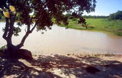 Imagem 8: Fazenda á 14km de Rosário à venda, 3200000 m² por R$ 5.500.000 - Zona...
