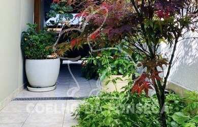 Imagem 5: São Paulo - Casa Padrão - Planalto Paulista