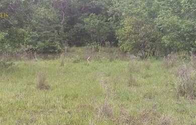 Imagem 3: Fazenda no município de Nobres à venda, 2780000 m² por R$ 5.560.000 - Vila Bom Jardim - No