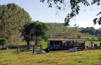Imagem 12: FAZENDA EM CAMAPUA 15 MIL O HA
