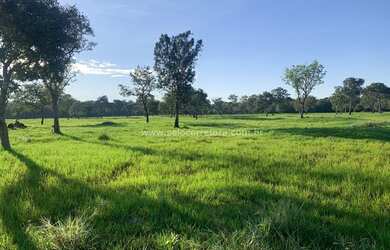 Imagem 4: Excelente Fazenda no Muni. de São Félix Do Araguaia e parte no Muni. de Luciara - MT