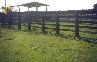 Imagem 4: Fazenda á 14km de Rosário à venda, 3200000 m² por R$ 5.500.000 - Zona...