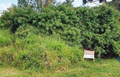 Imagem 1: Terreno à venda, 377 m² por R$ 160.000,00 - Jardim São Pedro - Quatro...