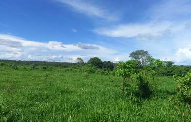 Imagem 5: EXCELENTE FAZENDA NO MUNI. NOSSA SENHORA DO LIVRAMENTO