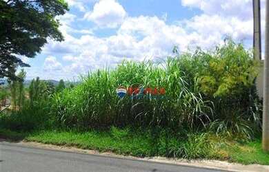 Imagem 2: Terreno à venda, 5150 m² por R$ 7.000.000,00 - Gramado - Campinas/SP