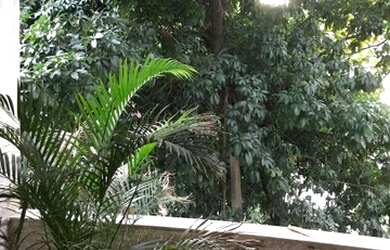 Imagem 7: Apartamento com 3 dormitórios à venda, 63 m² por R$ 160.000,00 - Vila...