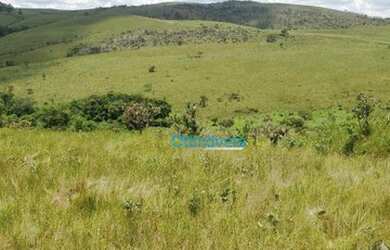 Imagem 16: Fazenda a venda - área real