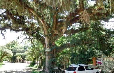 Imagem 1: Terreno residencial à venda, Belém Novo, Porto Alegre