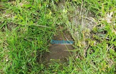 Imagem 12: Fazenda a venda - área real