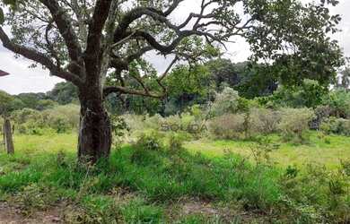 Imagem 4: Área à venda, 40000 m² por R$ 2.800.000 - Pinhal - Jarinu/SP