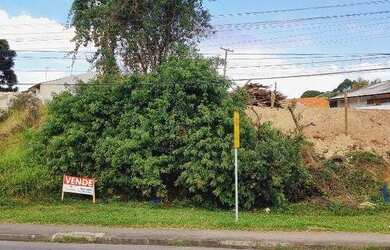 Imagem 8: Terreno à venda, 377 m² por R$ 160.000,00 - Jardim São Pedro - Quatro...