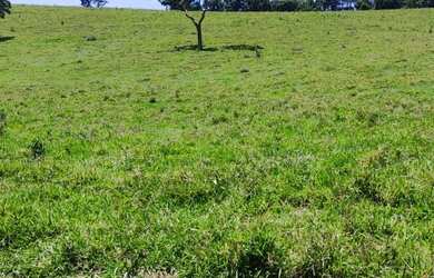 Imagem 15: 5000m² 30,000!!!