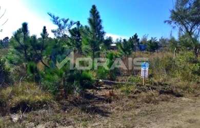 Imagem 4: Terreno a Venda no Bairro Lagoinhas - Balneário Gaivota