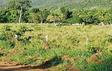 Imagem 16: Fazenda em Cáceres à venda, 17640000 m² por R$ 8.000.000 - Zona Rural...