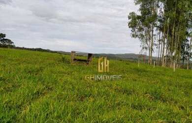 Imagem 7: Sítio à venda, 280784 m² por R$ 1.350.000,00 - Vila República - Goiás/GO