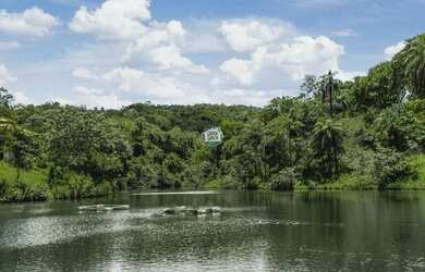 Imagem: O terreno possui 20.000m² de Área, Imóvel novo e está localizado