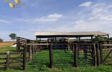 Imagem 11: Fazenda 4 km BR 070 à venda, 9000000 m² por R$ 12.600.000 - Zona Rural...